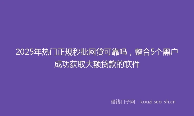 2025年热门正规秒批网贷可靠吗，整合5个黑户成功获取大额贷款的软件
