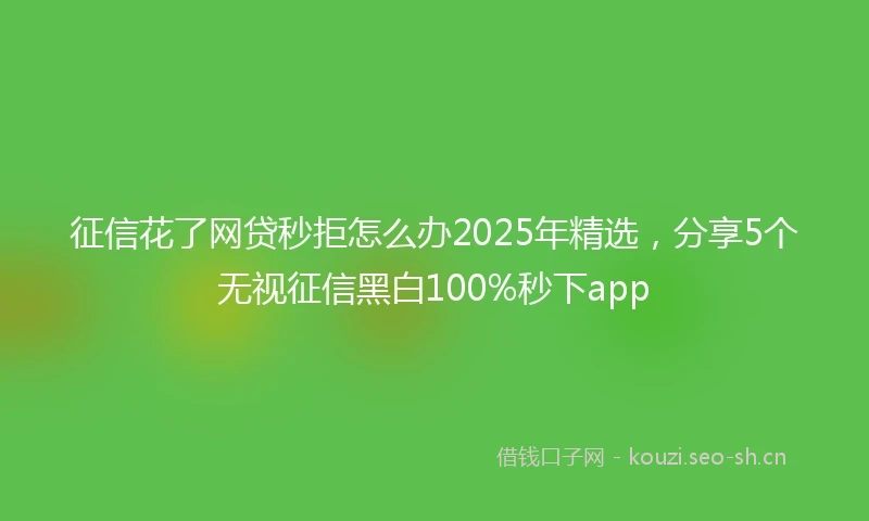 征信花了网贷秒拒怎么办2025年精选，分享5个无视征信黑白100%秒下app