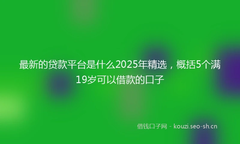 最新的贷款平台是什么2025年精选，概括5个满19岁可以借款的口子