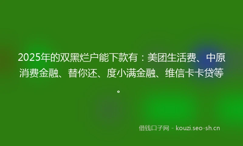 2025年的双黑烂户能下款有:美团生活费、中原消费金融、替你还、度小满金融、维信卡卡贷等。
