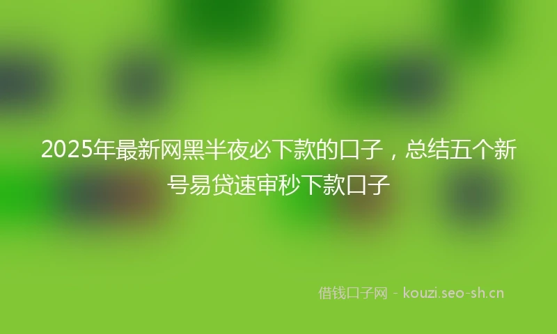 2025年最新网黑半夜必下款的口子，总结五个新号易贷速审秒下款口子