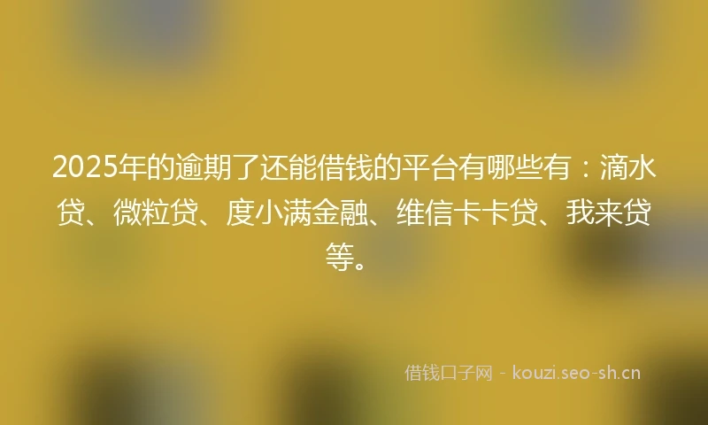 2025年的逾期了还能借钱的平台有哪些有：滴水贷、微粒贷、度小满金融、维信卡卡贷、我来贷等。