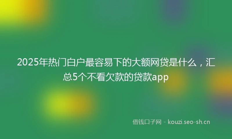 2025年热门白户最容易下的大额网贷是什么，汇总5个不看欠款的贷款app