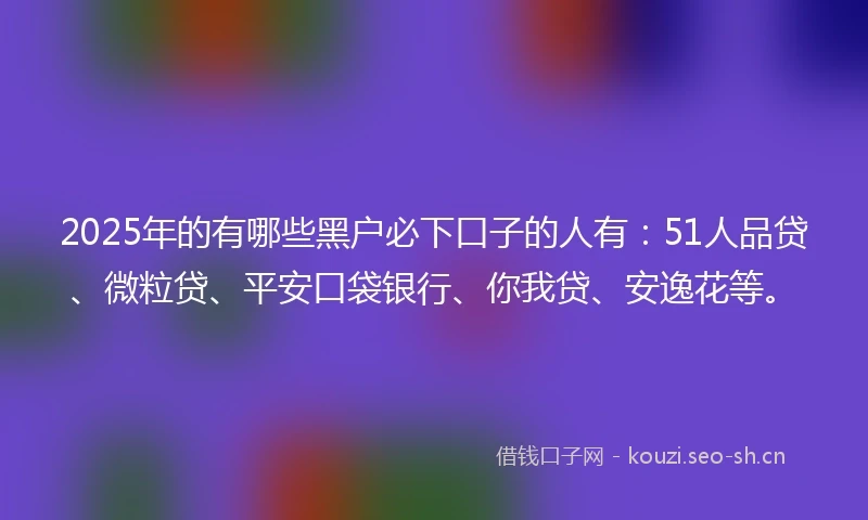 2025年的有哪些黑户必下口子的人有：51人品贷、微粒贷、平安口袋银行、你我贷、安逸花等。