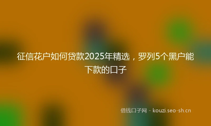 征信花户如何贷款2025年精选，罗列5个黑户能下款的口子