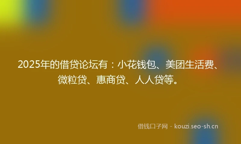 2025年的借贷论坛有：小花钱包、美团生活费、微粒贷、惠商贷、人人贷等。