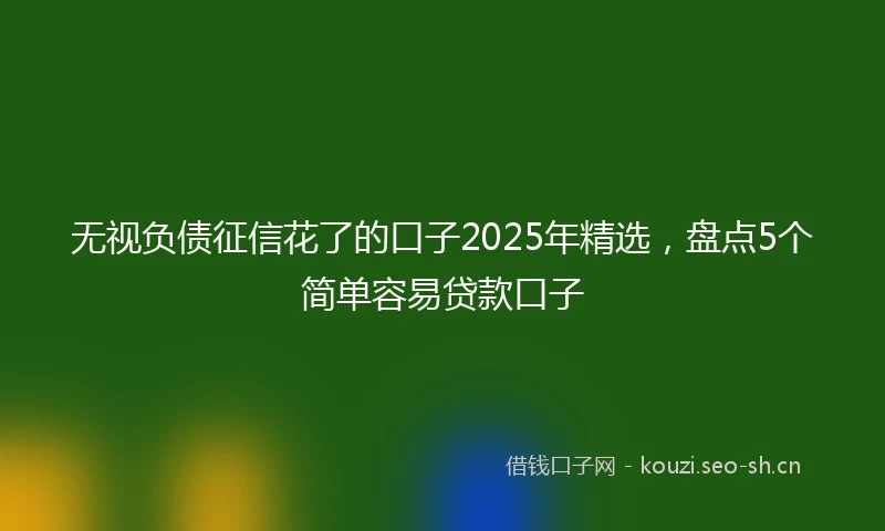 无视负债征信花了的口子2025年精选，盘点5个简单容易贷款口子