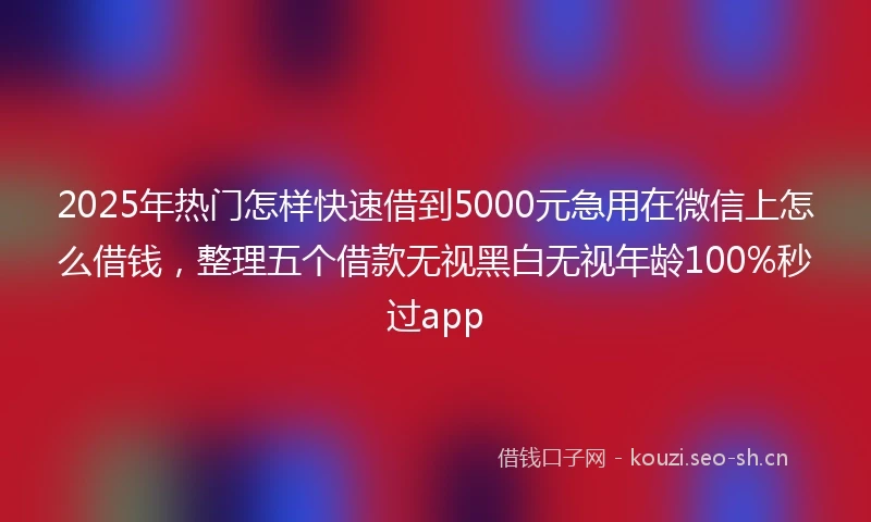 2025年热门怎样快速借到5000元急用在微信上怎么借钱，整理五个借款无视黑白无视年龄100%秒过app