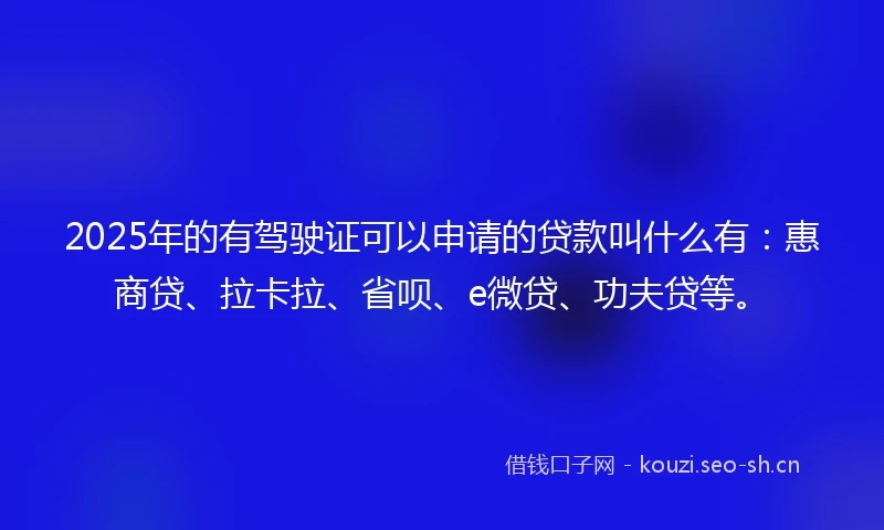 2025年的有驾驶证可以申请的贷款叫什么有：惠商贷、拉卡拉、省呗、e微贷、功夫贷等。