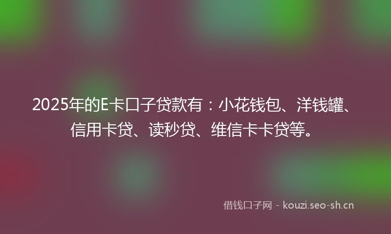 2025年的E卡口子贷款有：小花钱包、洋钱罐、信用卡贷、读秒贷、维信卡卡贷等。