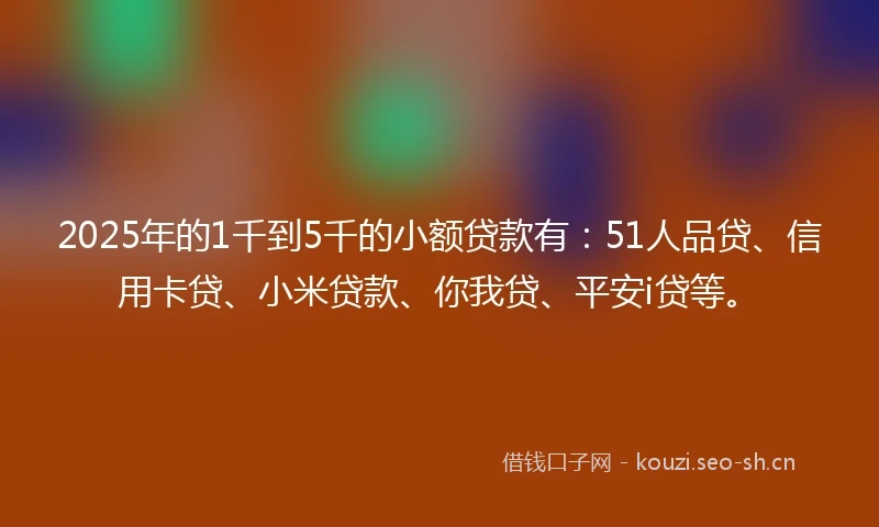 2025年的1千到5千的小额贷款有：51人品贷、信用卡贷、小米贷款、你我贷、平安i贷等。