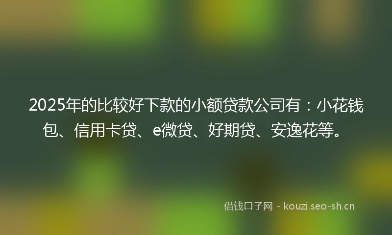 2025年的比较好下款的小额贷款公司有：小花钱包、信用卡贷、e微贷、好期贷、安逸花等。