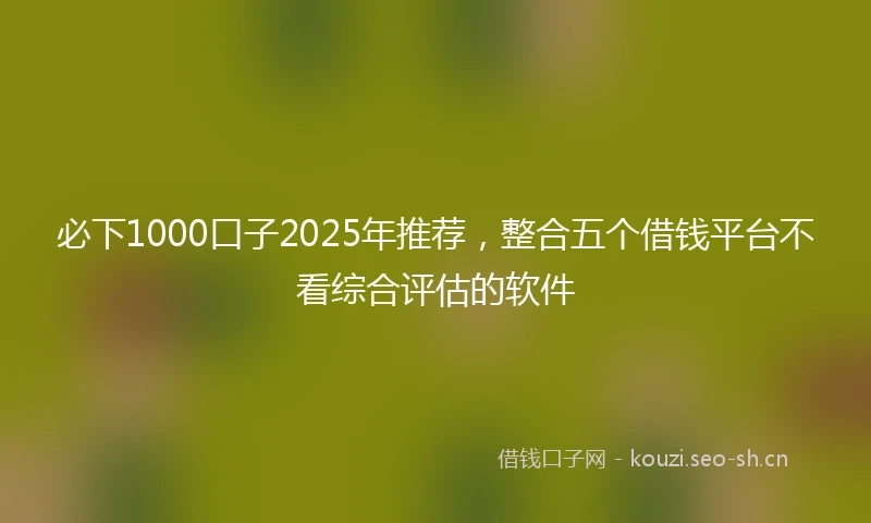 必下1000口子2025年推荐，整合五个借钱平台不看综合评估的软件