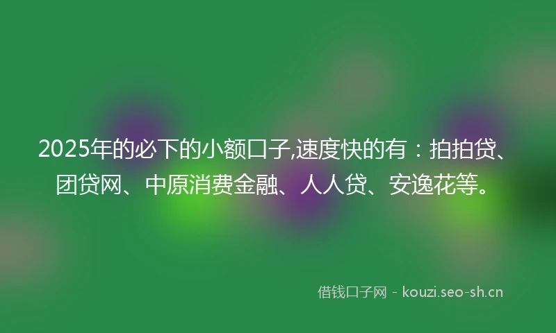 2025年的必下的小额口子,速度快的有：拍拍贷、团贷网、中原消费金融、人人贷、安逸花等。