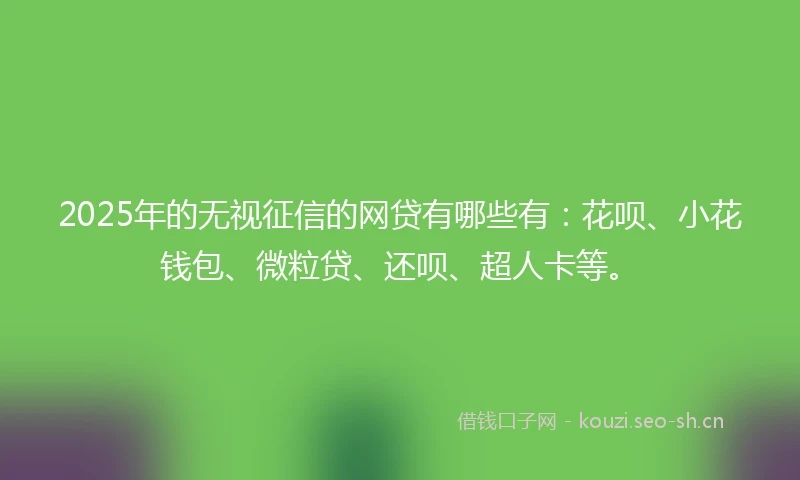 2025年的无视征信的网贷有哪些有：花呗、小花钱包、微粒贷、还呗、超人卡等。