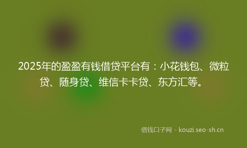 2025年的盈盈有钱借贷平台有：小花钱包、微粒贷、随身贷、维信卡卡贷、东方汇等。