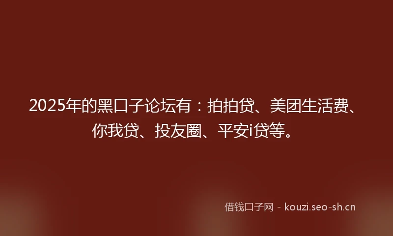 2025年的黑口子论坛有：拍拍贷、美团生活费、你我贷、投友圈、平安i贷等。