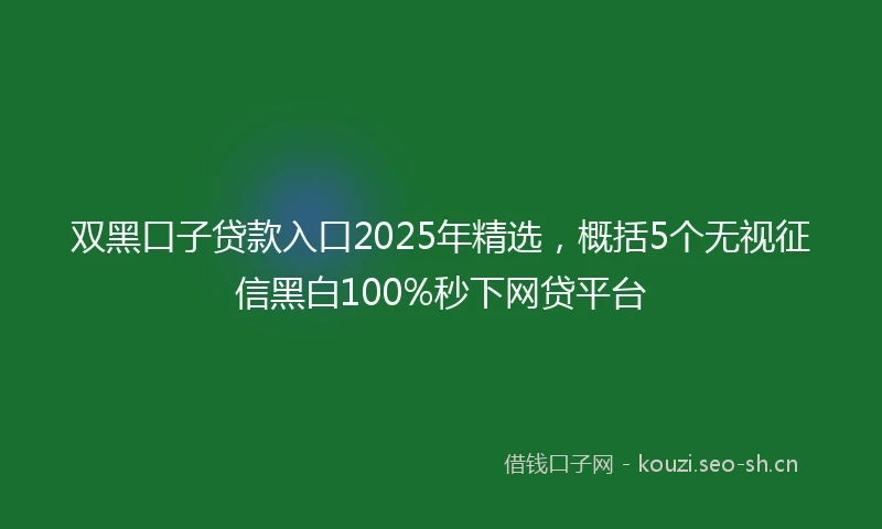 双黑口子贷款入口2025年精选，概括5个无视征信黑白100%秒下网贷平台