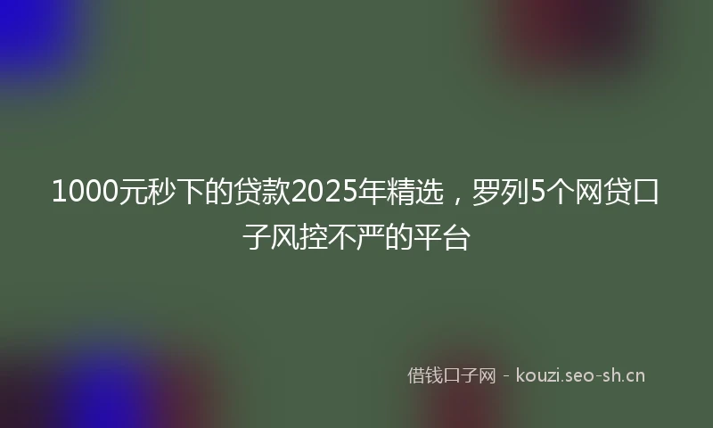 1000元秒下的贷款2025年精选，罗列5个网贷口子风控不严的平台