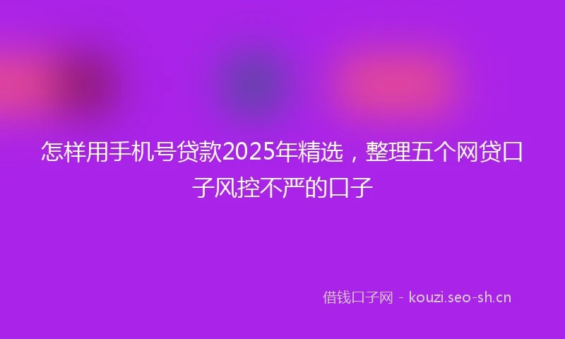 怎样用手机号贷款2025年精选，整理五个网贷口子风控不严的口子