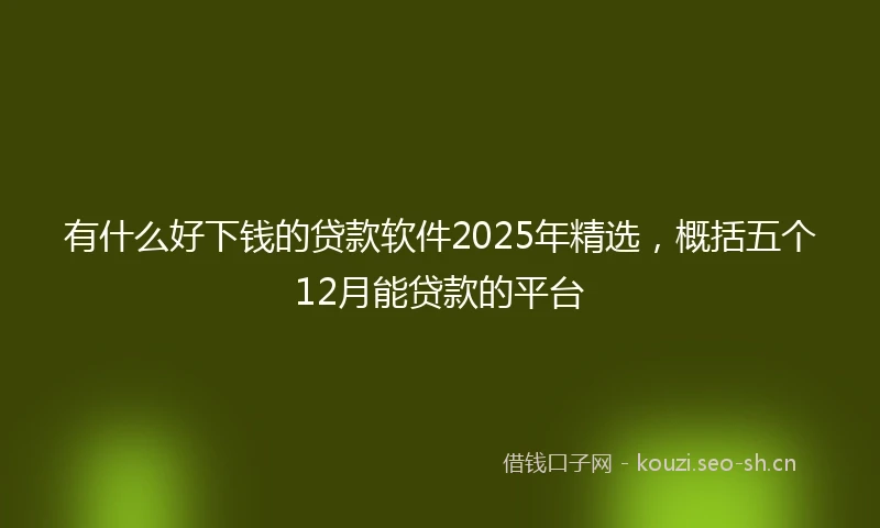 有什么好下钱的贷款软件2025年精选，概括五个12月能贷款的平台