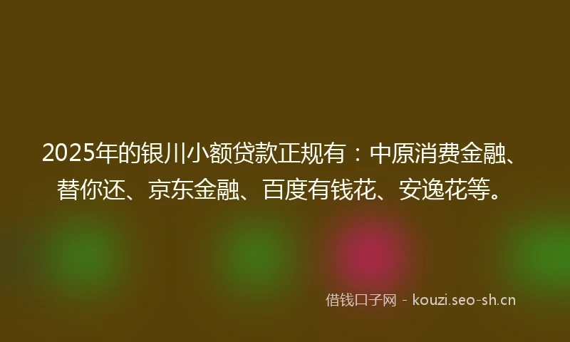 2025年的银川小额贷款正规有：中原消费金融、替你还、京东金融、百度有钱花、安逸花等。