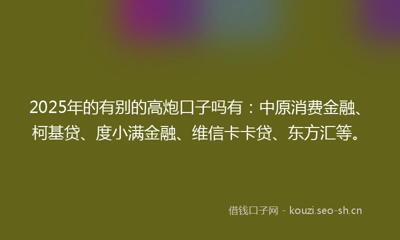 2025年的有别的高炮口子吗有：中原消费金融、柯基贷、度小满金融、维信卡卡贷、东方汇等。