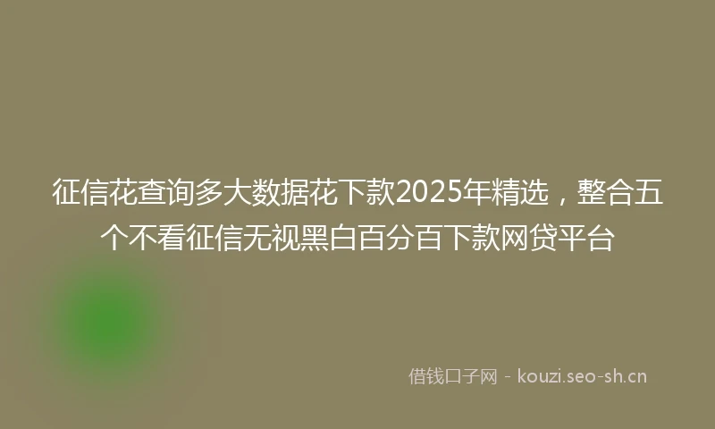 征信花查询多大数据花下款2025年精选，整合五个不看征信无视黑白百分百下款网贷平台