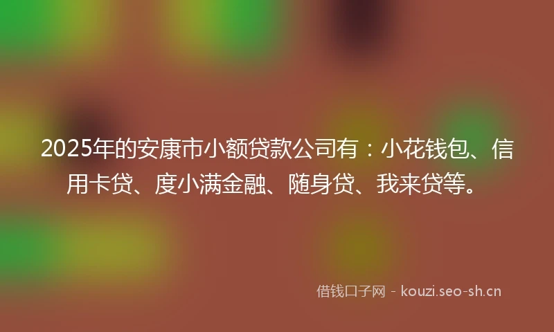 2025年的安康市小额贷款公司有：小花钱包、信用卡贷、度小满金融、随身贷、我来贷等。