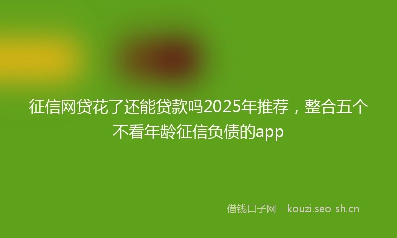 征信网贷花了还能贷款吗2025年推荐，整合五个不看年龄征信负债的app