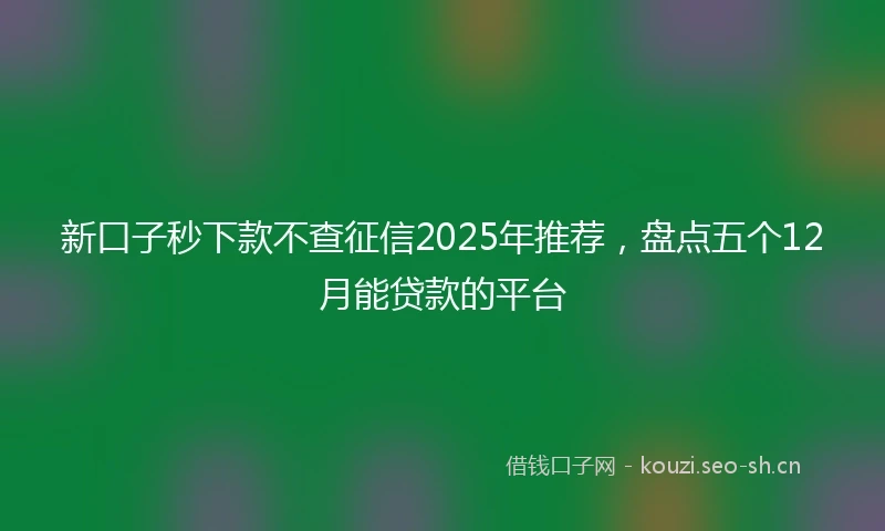 新口子秒下款不查征信2025年推荐，盘点五个12月能贷款的平台