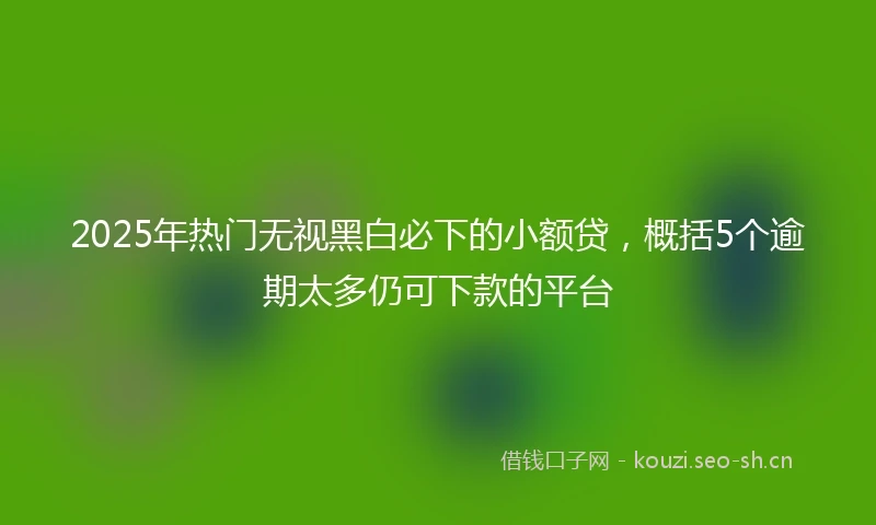 2025年热门无视黑白必下的小额贷,概括5个逾期太多仍可下款的平台