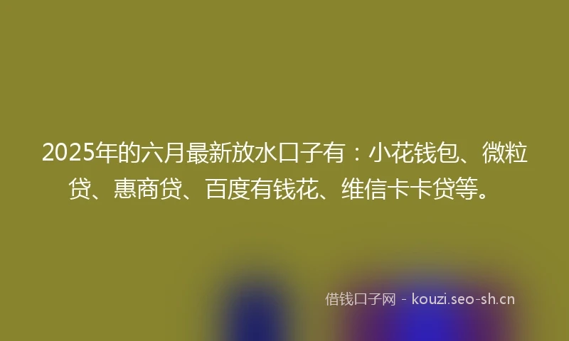 2025年的六月最新放水口子有：小花钱包、微粒贷、惠商贷、百度有钱花、维信卡卡贷等。