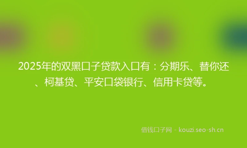 2025年的双黑口子贷款入口有：分期乐、替你还、柯基贷、平安口袋银行、信用卡贷等。