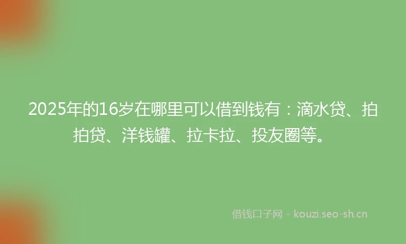 2025年的16岁在哪里可以借到钱有：滴水贷、拍拍贷、洋钱罐、拉卡拉、投友圈等。