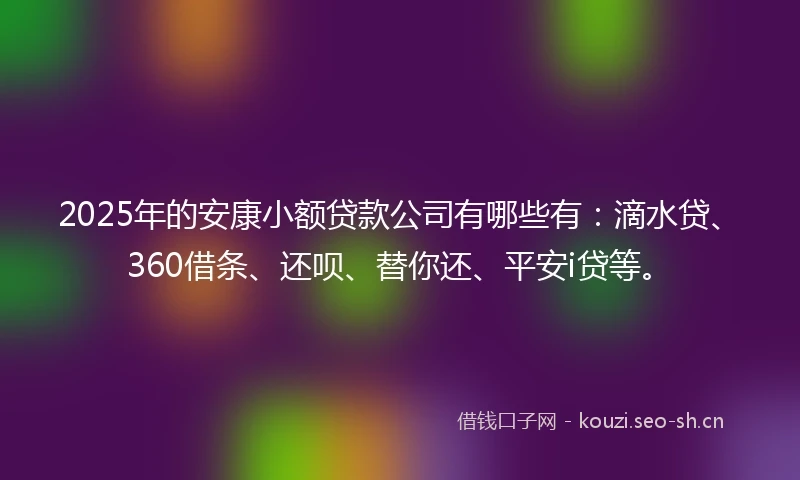 2025年的安康小额贷款公司有哪些有：滴水贷、360借条、还呗、替你还、平安i贷等。