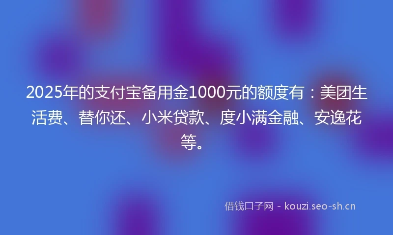 2025年的支付宝备用金1000元的额度有：美团生活费、替你还、小米贷款、度小满金融、安逸花等。