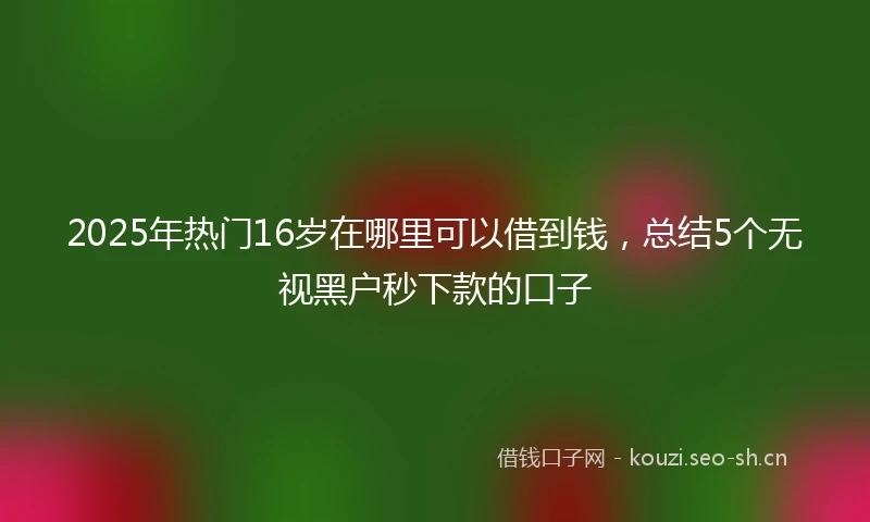 2025年热门16岁在哪里可以借到钱，总结5个无视黑户秒下款的口子