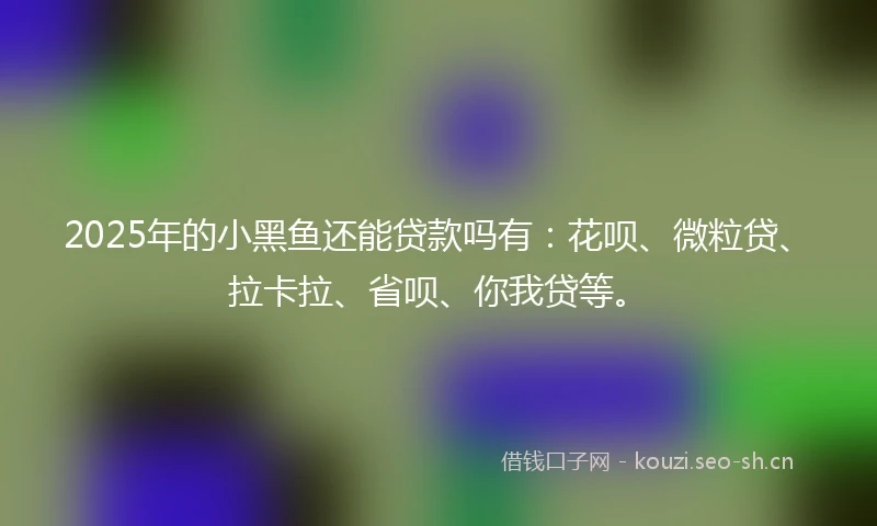 2025年的小黑鱼还能贷款吗有：花呗、微粒贷、拉卡拉、省呗、你我贷等。