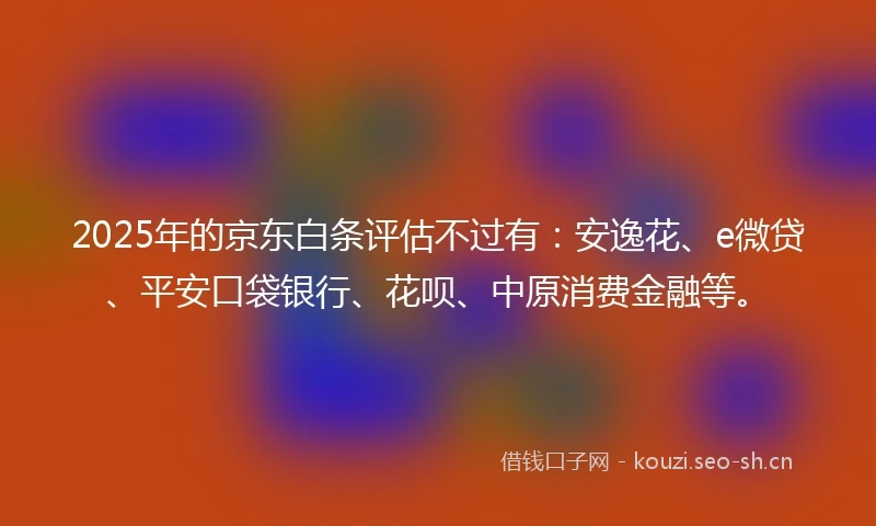 2025年的京东白条评估不过有：安逸花、e微贷、平安口袋银行、花呗、中原消费金融等。