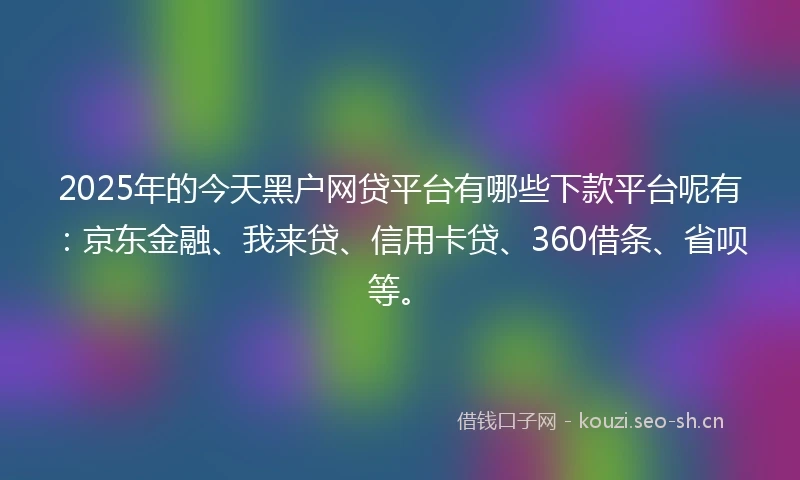 2025年的今天黑户网贷平台有哪些下款平台呢有：京东金融、我来贷、信用卡贷、360借条、省呗等。