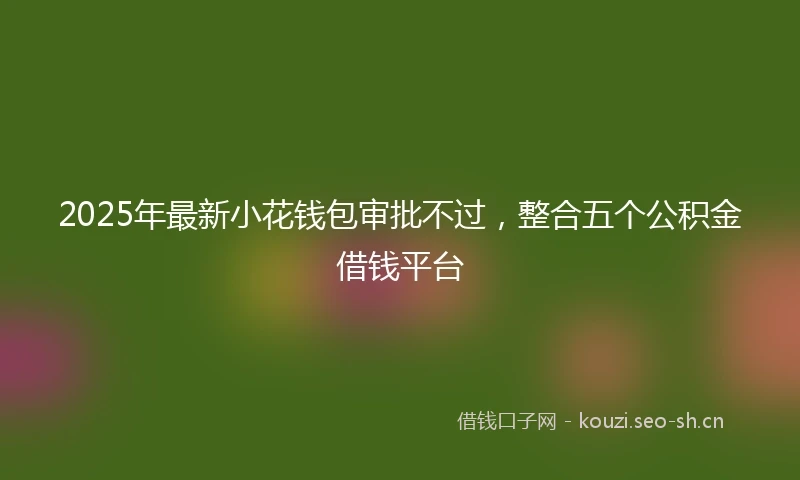 2025年最新小花钱包审批不过，整合五个公积金借钱平台