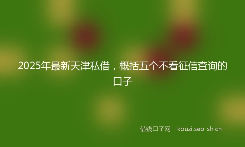 2025年最新天津私借，概括五个不看征信查询的口子