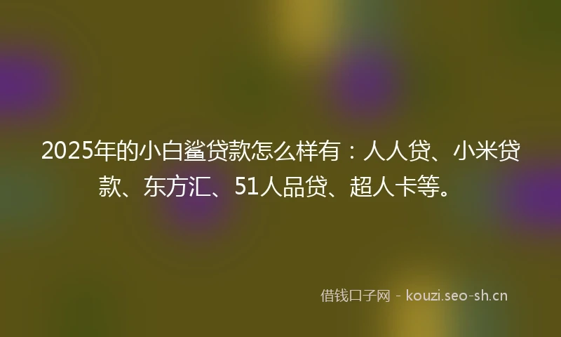 2025年的小白鲨贷款怎么样有：人人贷、小米贷款、东方汇、51人品贷、超人卡等。