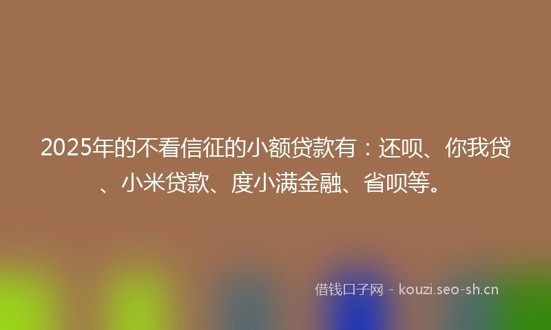 2025年的不看信征的小额贷款有：还呗、你我贷、小米贷款、度小满金融、省呗等。