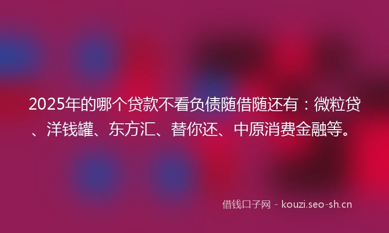 2025年的哪个贷款不看负债随借随还有：微粒贷、洋钱罐、东方汇、替你还、中原消费金融等。