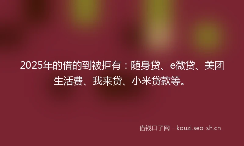 2025年的借的到被拒有：随身贷、e微贷、美团生活费、我来贷、小米贷款等。