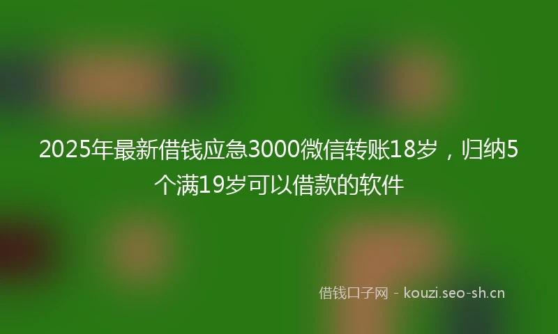 2025年最新借钱应急3000微信转账18岁，归纳5个满19岁可以借款的软件