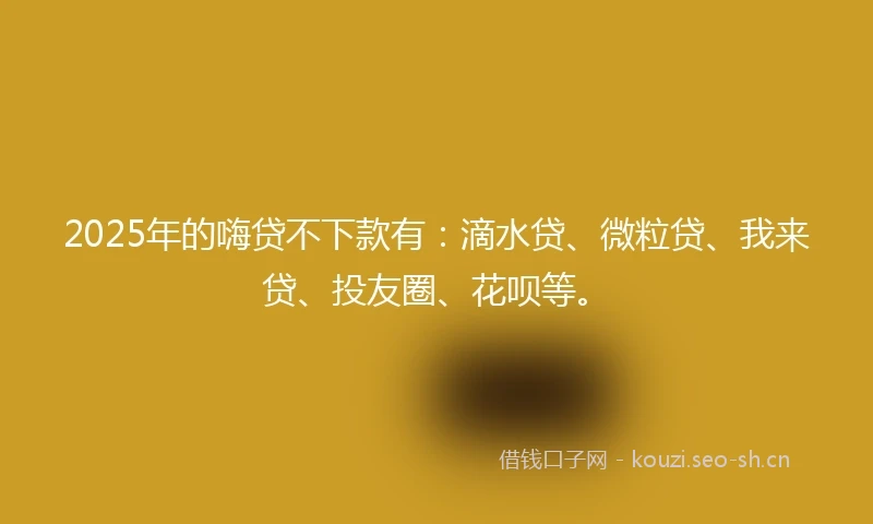 2025年的嗨贷不下款有：滴水贷、微粒贷、我来贷、投友圈、花呗等。