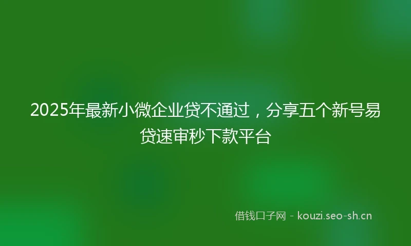2025年最新小微企业贷不通过，分享五个新号易贷速审秒下款平台